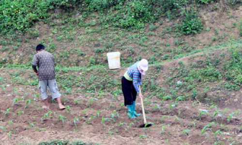 Hải Yến đẩy mạnh chuyển dịch cơ cấu kinh tế