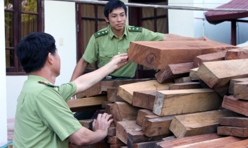 Kiểm lâm Hữu Lũng: Làm theo Bác, gần dân để giữ rừng