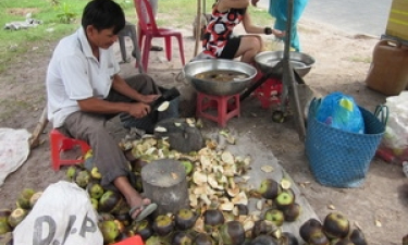 Hóa chất trong đường thốt nốt An Giang &#39;không độc&#39;