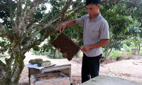 Làm giàu từ mô hình kinh tế tổng hợp