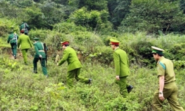 Chống ma túy tổng hợp: Cuộc chiến với kẻ... vô hình