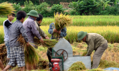 Cánh đồng mẫu lớn: Từ điểm tới diện