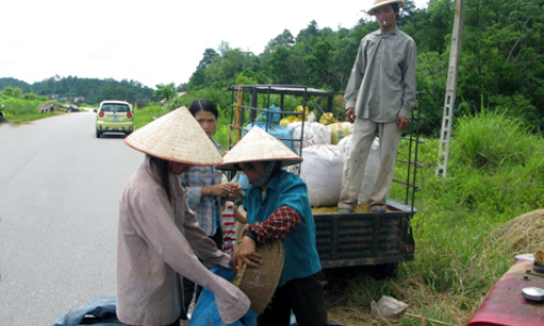 An toàn giao thông mùa gặt: Nỗi lo đến hẹn lại lên