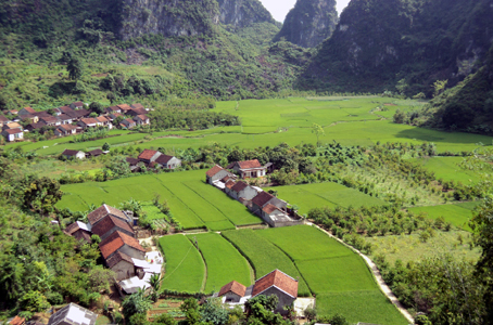 Lộc Bình: Khó khăn trong thực hiện chuyển đổi cơ cấu giống lúa lai