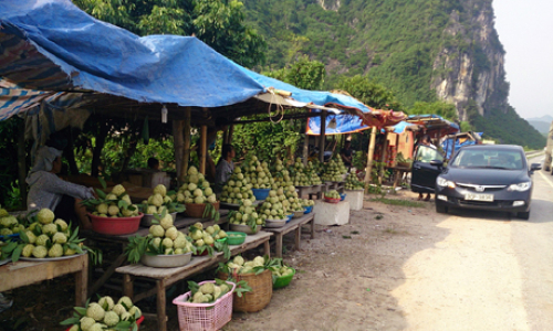 Đảm bảo an toàn giao thông mùa na