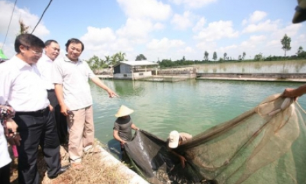 Hiệu quả mô hình tổ vay vốn