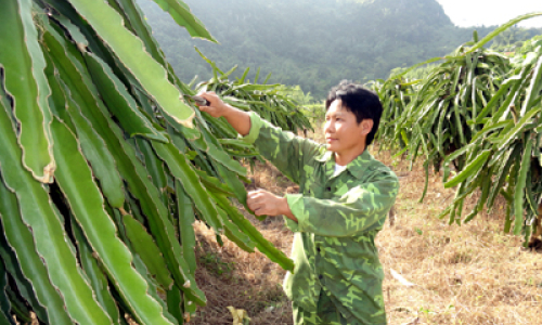 Vươn lên từ thất bại