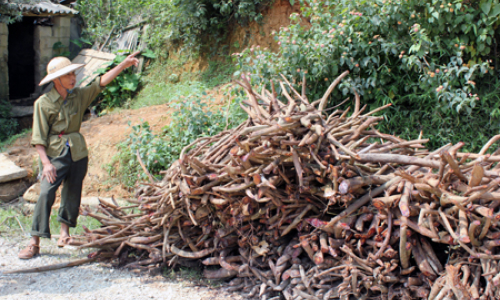 Nà Ke Bảo Lâm: Dân khổ vì khau lượt