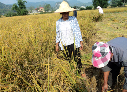 Văn Quan nỗ lực giảm nghèo