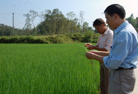 Văn Lãng: Phát huy hiệu quả đào tạo nghề cho lao động nông thôn