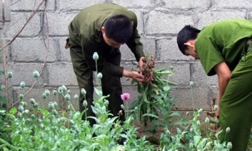 Văn Lãng tăng cường đấu tranh với tội phạm ma túy