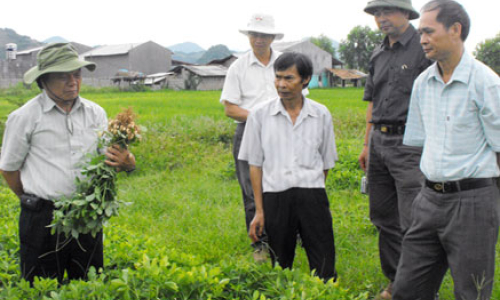 Khuyến nông Lạng Sơn: Tạo động lực xây dựng nông thôn mới