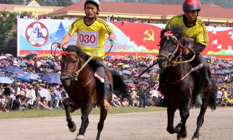 Ngày xuân đến với “sàn giao dịch” ngựa ở Bắc Hà