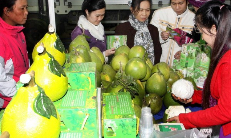 Trên 300 DN dự Hội chợ thương mại Festival Hoa