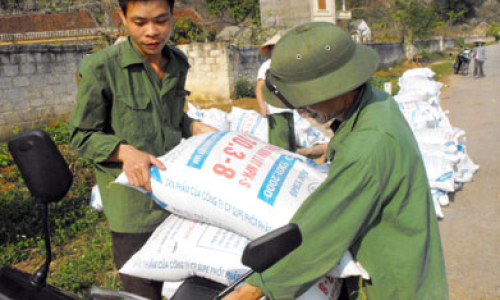 Chi Lăng hình thành vùng sản xuất hàng hóa