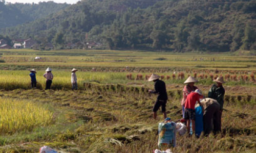 Những kết quả đạt được trong phát triển nông nghiệp, nông thôn