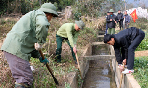 Rộn rã khí thế lao động đầu xuân