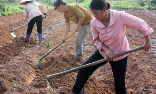 Xây dựng nông thôn mới gắn với “Xây dựng gia đình 5 không, 3 sạch”