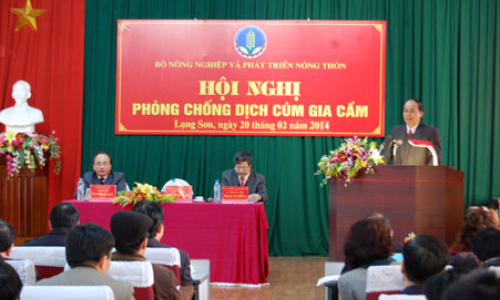 Phòng, chống dịch cúm gia cầm là nhiệm vụ trọng tâm, cấp bách