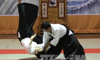 Biểu diễn Aikido kỷ niệm quan hệ ngoại giao Việt-Nhật