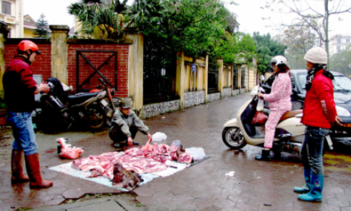 Cảnh giác trước chiêu lừa: “lợn nái nhái lợn rừng”