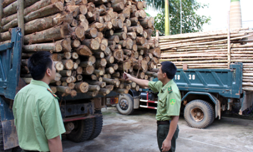 Kiểm lâm Hữu Lũng dồn sức giữ rừng