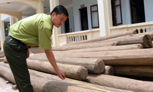 Những bất ổn từ rừng