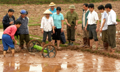 Từ đơn lẻ tới sản xuất tập thể