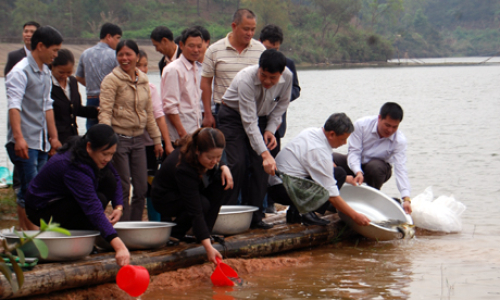 Bổ sung 4,4 vạn cá giống cho hồ thủy lợi