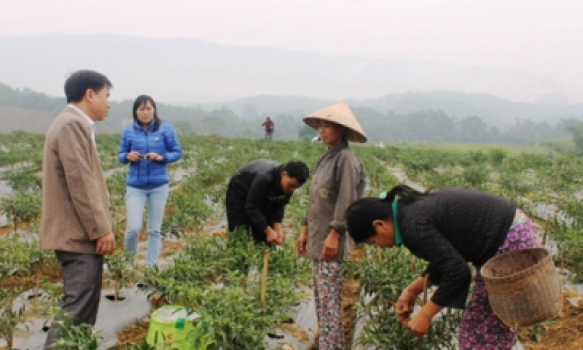 Thanh Hóa từng bước chuẩn hóa cán bộ