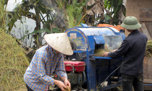 Hỗ trợ lãi suất mua máy chế biến, bảo quản nông lâm sản: 6 năm hỗ trợ hơn 140 triệu đồng