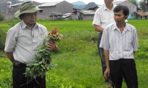 Khi doanh nghiệp cung ứng tham gia