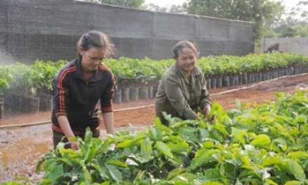 Khoa học và công nghệ nông nghiệp chưa xứng với "đồng tiền bát gạo"