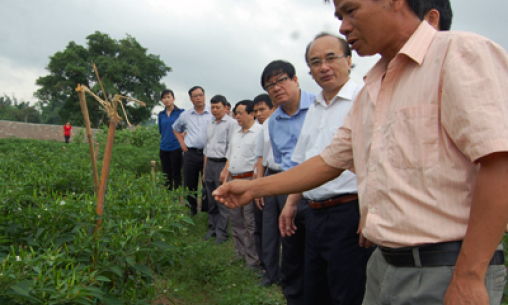 Tái cơ cấu sản xuất: Cần thêm những chính sách