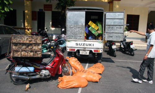 Công an huyện Cao Lộc tích cực đấu tranh ngăn chặn hàng giả, hàng lậu