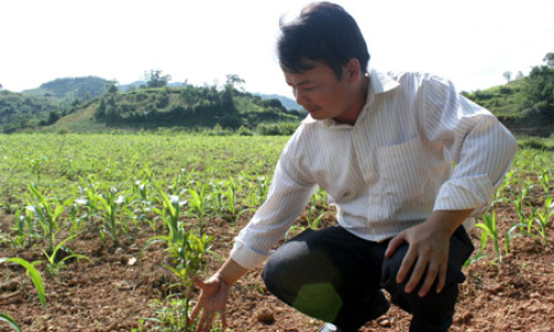 Những dự án hao tiền, tốn đất