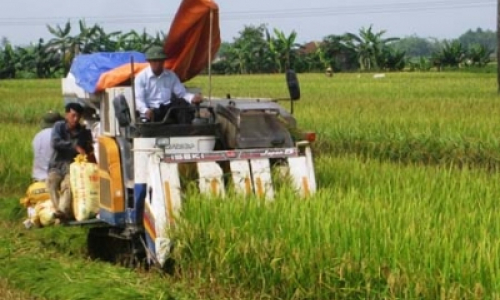 Giải pháp nâng cao thu nhập cho nông dân