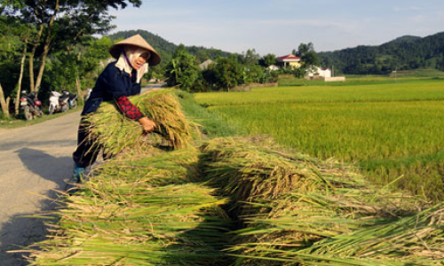 Nông dân Lạng Sơn hướng về biển đảo