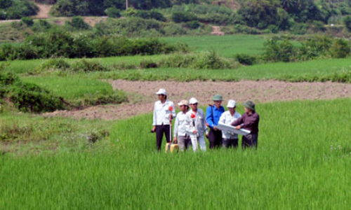 Tập trung đẩy nhanh việc cấp giấy chứng nhận quyền sử dụng đất