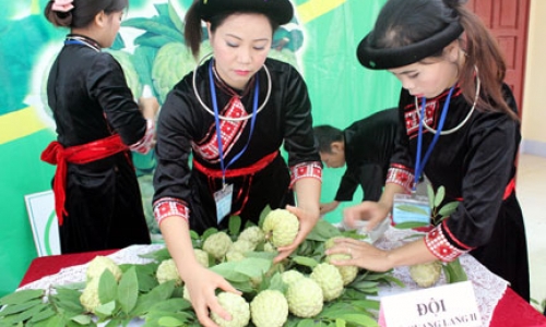 Hội thi quả na huyện Chi Lăng năm 2014