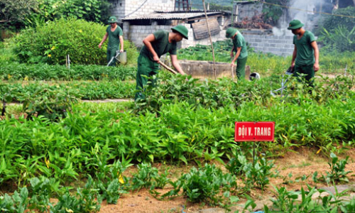 Đồn Biên phòng Pò Mã - Điểm sáng phong trào tăng gia tự túc