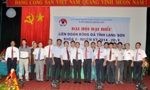 Đại hội Liên đoàn Bóng đá tỉnh, nhiệm kỳ 2014-2019