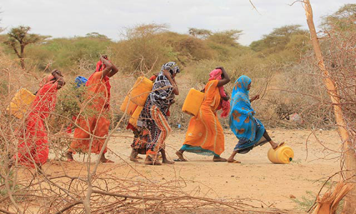 Liên hợp quốc kêu gọi ngăn chặn một nạn đói có thể lặp lại tại Somalia