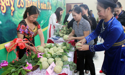 Hội thi na Chi Lăng năm 2014