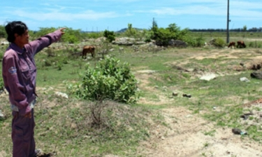 Lãng phí đất dự án hàng tỷ đô-la ở Dung Quất