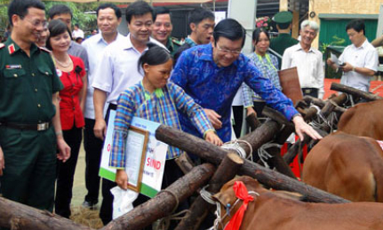 Chủ tịch nước Trương Tấn Sang thăm và làm việc tại Lạng Sơn