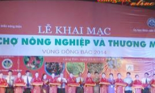 Khai mạc hội chợ Nông nghiệp và Thương mại vùng Đông Bắc 2014: Hội tụ, hợp tác để phát triển nông nghiệp