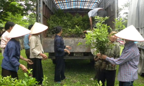 Thi đua tạo động lực