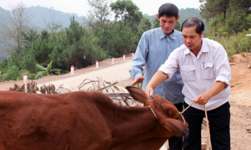 Hiện thực thoát đói nghèo