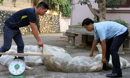 Những con số đáng suy tư